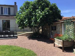 Maisons de vacances Gite de la Coussotterie Sud Vendee 4 **** 8 pers : photos des chambres