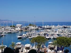 Apartments at Commodoro