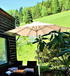 Adelwöhrer - Am Hof