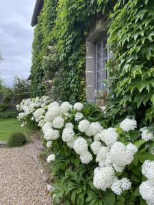 Maisons d'hotes La Maison d'Aline - Honfleur - Maison d'Hote De Charme A La Normande : photos des chambres