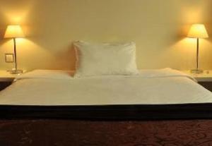 Room #7267517 room in Kingsgate Hotel by Millennium