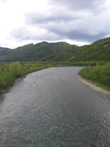 Садиба "У стрийка" Сопіт