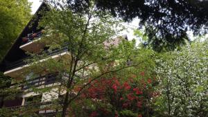 Apartament Kalinderu K2 Busteni