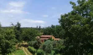 Agua Azul poolside rest a luxurious rural woodland idyll - 塔布阿