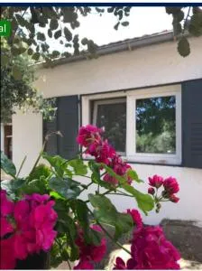 Cabaña JARA Y ENEBRO - Navalquejigo