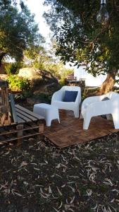 Casa vacanze Olbia - ALEBEA - img17