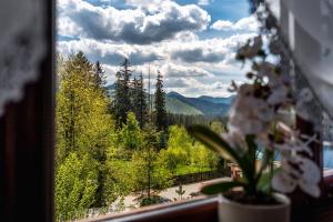 Apartament Polany