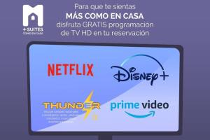 MS Loft Suite Moderno Ubicadísimo 150MB 178A