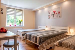 Apartament u Janka - 3hvězdičkové hotely ve městě Vělička