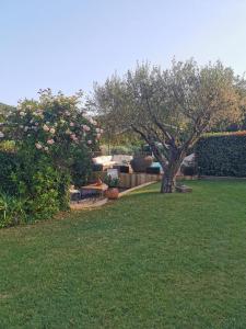 B&B / Chambres d'hotes La Bergerie : photos des chambres