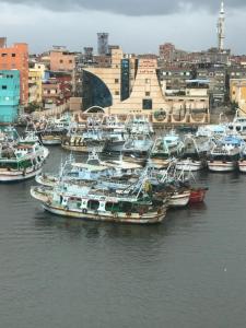 Dolphin Ras El-Bar Hotel