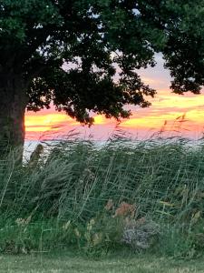 Veras Veranda i Köpingsvik