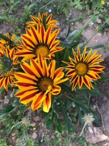 Il mare in tasca img9