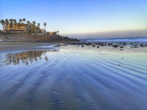 Playa Aguila Sea View