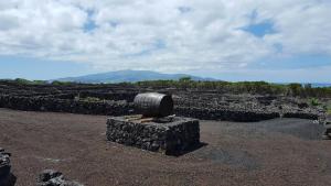 Casa da estrela canopus