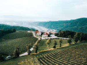 Tri lučke Hotel & Restaurant 