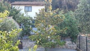 White Manolia Cottage