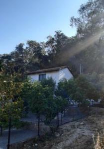 White Manolia Cottage