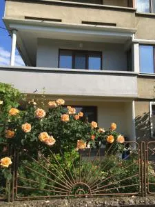 Апартамент Здравец - Okoliite