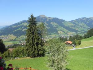 Appartement Bergfried