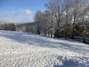 Auszeit im Waldidyll