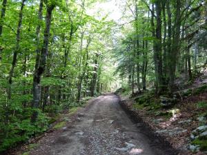 Chalets Chalet des Bruyeres : photos des chambres