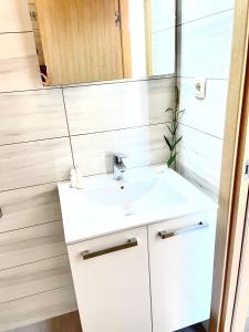 Apartment Zane Bacvice