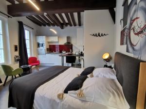 Appartements Le Saint-Aignan, Nuits-chartraines, Parking prive, 3 etoiles : photos des chambres