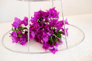 La Corte Di Pulicinu img20