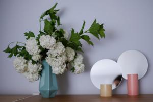 Õhtu Põik 2 City Center basement Apartment