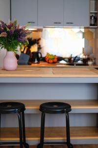 Õhtu Põik 2 City Center basement Apartment