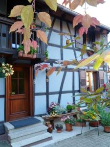 Maisons de vacances Maison de 4 chambres avec jardin amenage et wifi a Wingersheim les Quatre Bans : photos des chambres