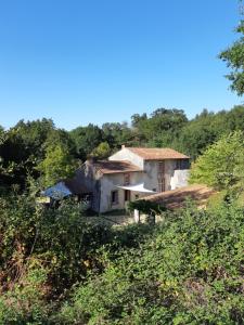 Grand gîte dans son écrin de Nature