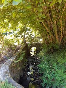 Grand gîte dans son écrin de Nature