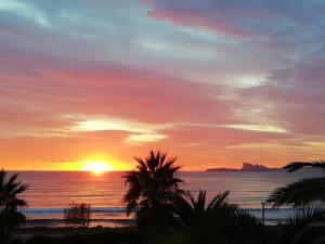 Appartements Magnifique studio vue mer a 5 minutes de la plage : photos des chambres