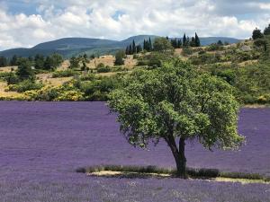 Maisons de vacances Gite Les Enfantines : photos des chambres