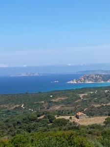 Tenute Bandera - TorreBandera