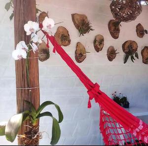 Suite em pousada no ES com lazer completo e Wi-Fi