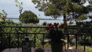 Pefka Studios & Apartments