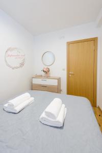 Apartman Japanski vrt, Centar