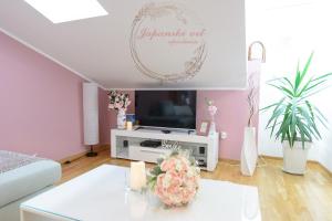 Apartman Japanski vrt, Centar