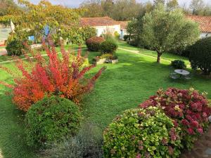 Appartements L'enclos bleu, vendee sud, marais poitevin : Studio avec Terrasse