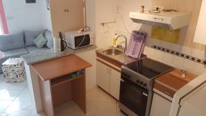 Apartment Mir