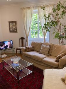 Appartements La Maison des Fontaines d'Alsace : photos des chambres