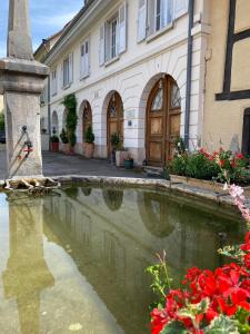 Appartements La Maison des Fontaines d'Alsace : photos des chambres