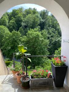 Appartements La Maison des Fontaines d'Alsace : photos des chambres