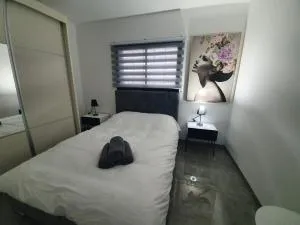 אירוח אריאל - 拜特希勒