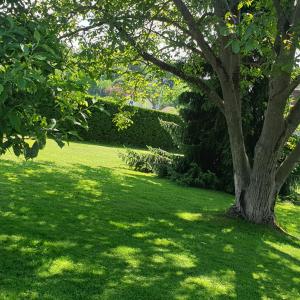 Apartments AD Radenci