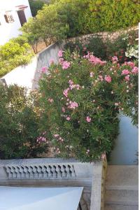 Two-Bedroom Apartment with Terrace and Sea View room in Apartments with a parking space Pag - 16394