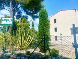 Appartements BALI Studio Climatise : photos des chambres